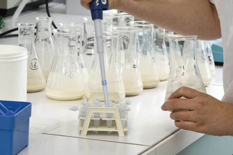 Молочный союз России подсчитал расходы предприятий по новым правилам ветсанэкспертизы молока