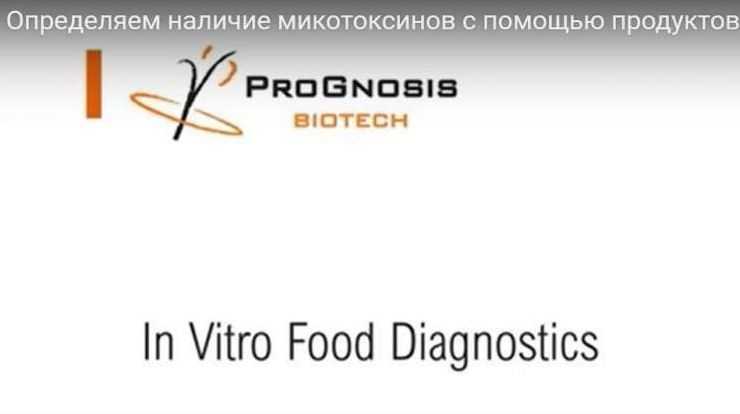 Определяем наличие микотоксинов с помощью продуктов компании Prognosis Biotech