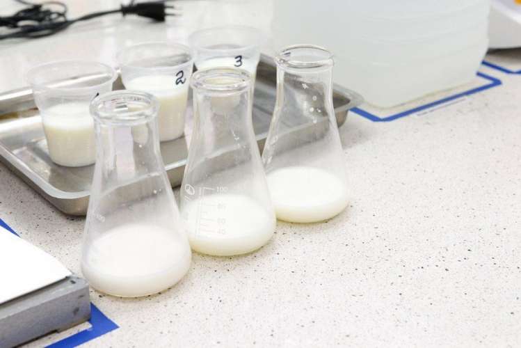  Опасные микроорганизмы выявили в 10 пробах молока в Псковской области