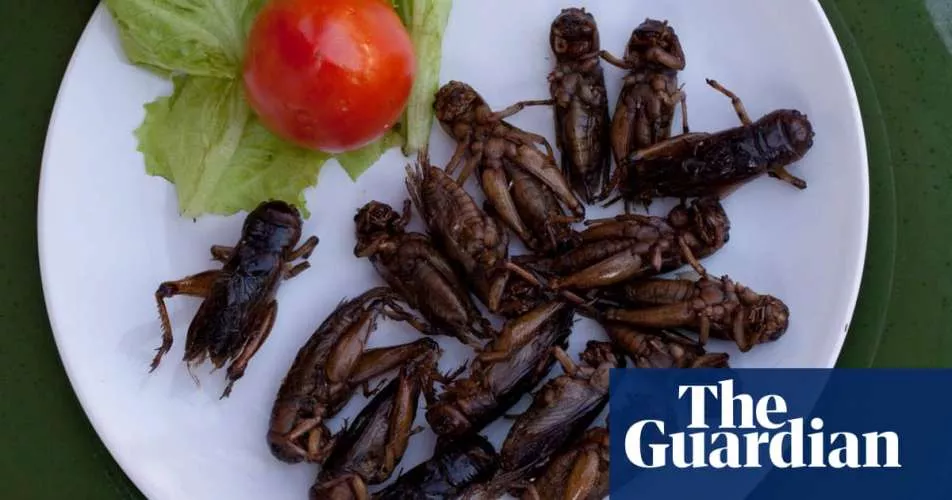 The Guardian: животных предложили кормить насекомыми ради "спасения планеты"